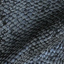 Pesce persico