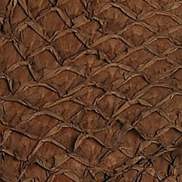 Carp leather