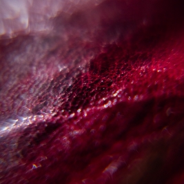 Tendenze Winter 26/27