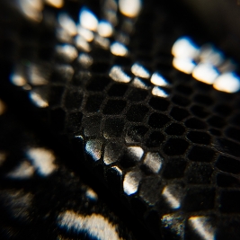 Tendenze Winter 26/27