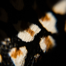 Tendenze Winter 26/27