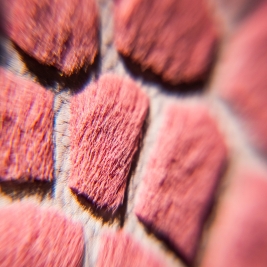 Tendenze Winter 26/27