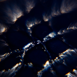 Tendenze Winter 26/27