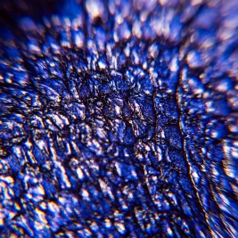 Tendenze Winter 26/27