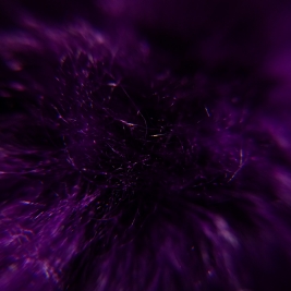 Tendenze Winter 26/27