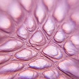 Tendenze Winter 26/27