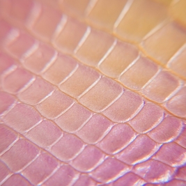 Tendenze Winter 26/27