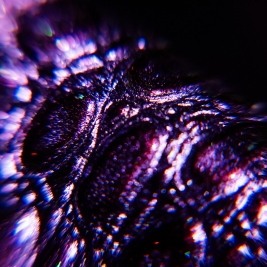 Tendenze Winter 26/27