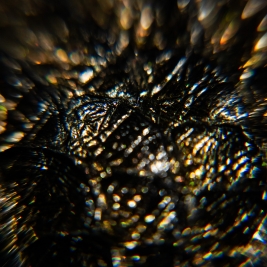 Tendenze Winter 26/27