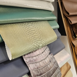 Winter 27/28 trends